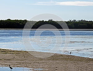 Beaches at Ding Darling Wildlife Refuge