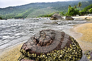 The beaches and landscapes of Ilha Grande. Angra dos Reis. Brazil