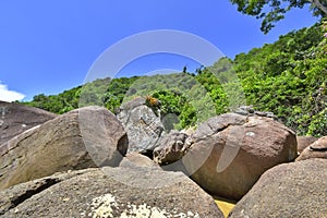 The beaches and landscapes of Ilha Grande. Angra dos Reis. Brazil