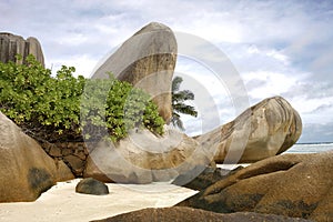 Beaches of Seychelles