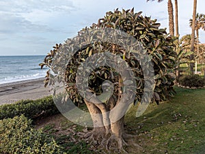 Beaches of Torrox Costa on Costa del Sol, Andalusia, Spain in April. Overwinter is Spain