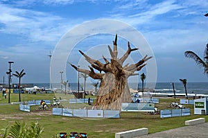 Beachgarden at seasite cost in Durban in Durban