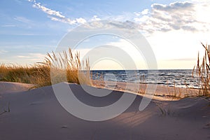 Beachgrass on the Lakeshore in Michigan