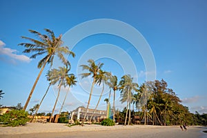 Beachscapes, beaches and coconut trees are tourists in the evening