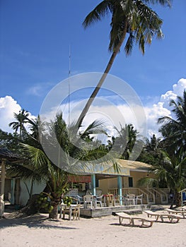 Beachside cafe palm tree sabang philippines