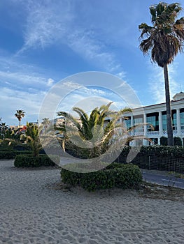 Beachside Resort with Palm Trees and Blue Sky at Dusk