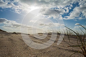 Beachside Zeeland