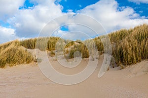 Beachside Zeeland