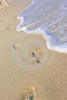 Beachwalk on the sea