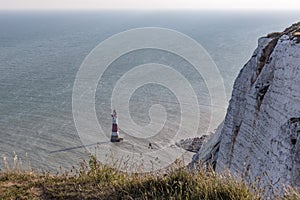 Beachy Head chalk cliff with lighthouse and shadow and long grass in the foreground.