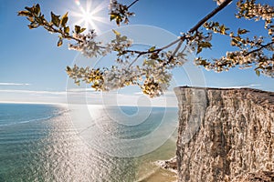 Beachy Head with chalk cliffs against spring limb near the Eastbourne, East Sussex, England