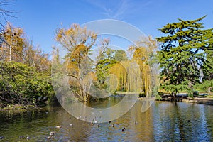 Beacon Hill Park during the spring in Victoria, Canada