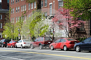 Beacon Hill in the Spring photo