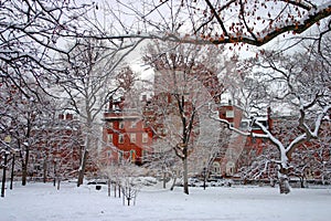 Beacon Hill is a wealthy neighborhood of Federal-style rowhouses, with some of the highest property values in the United States