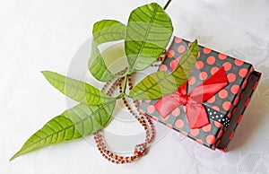 Beaded necklace with a gift box