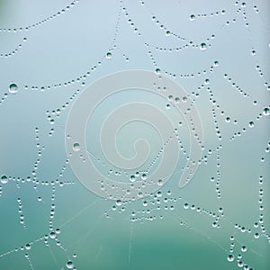 Beads at a Cobweb