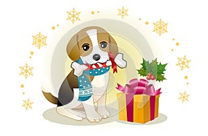 Beagle biting ribbon bone with christmas gift