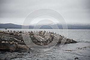 The Beagle Channel