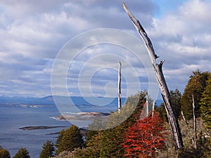 The Beagle Channel seen from Navarino island, Magellan region, Chile