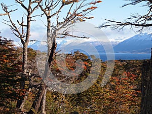 The Beagle Channel seen from Navarino island, Magellan region, Chile photo