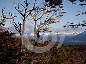 The Beagle Channel seen from Navarino island, Magellan region, Chile photo