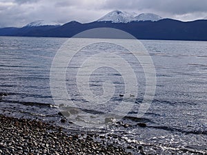 The Beagle Channel seen from Navarino island, Magellan region, Chile photo