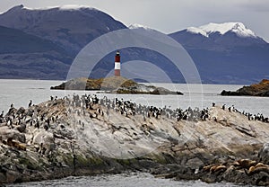 Beagle Channel - Tierra del Fuego