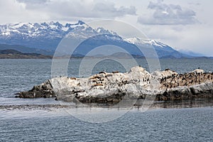 Beagle Channel  - Tierra del Fuego - Argentina