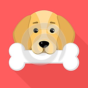 A beagle dog holds a bone in his mouth against a red background. A place for your projects. A sweet animal. Cartoon style. Vector