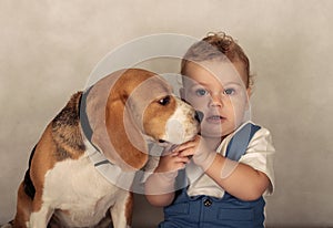 Beagle dog and little boy