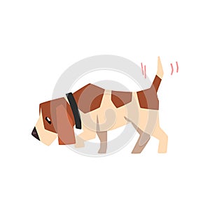 Beagle dog searching for a trace and wagging its tail, cute funny animal cartoon character vector Illustration
