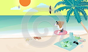 Beagle dog wear swim ring on beach prepare to play water in sea