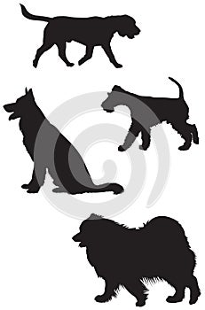 Beagle, German shepherd, Fox Terrier. Samoyed silhouettes