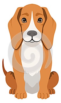 Beagle icon. Hunting dog. Cartoon pet sitting