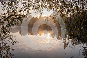Beautiful landscape of the mirror on the lake during sunrise framed with tree. Light fog over the water. Specular reflection in
