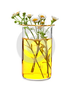 Beaker with flowers on white background