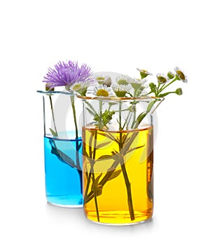 Beakers with flowers on white background