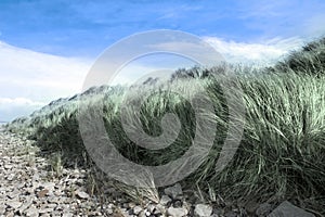 Beale rocks and sand dunes