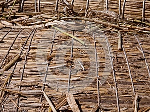 A beam of Uros reed detail
