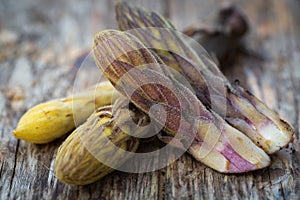 Bean broomrape