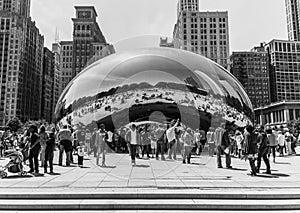 The Bean