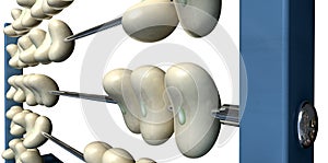 Bean Counting Abacus