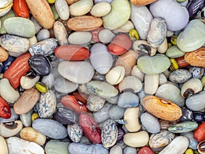 10 Bean Mix, soaked mixed beans. Vegan background photo