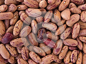 Bean Pinto