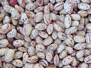 Bean rounded with red specks texture background. The beans are cultivated with biological agriculture in Tuscany, Italy