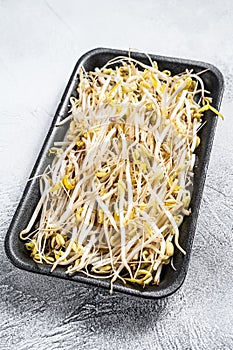 Bean sprout in black plastic container. White background. Top view