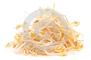 Bean sprout or Mung bean photo