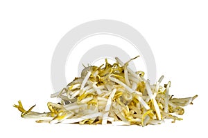 Bean Sprouts