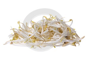 Bean Sprouts Isolated