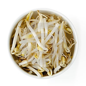 Bean Sprouts Isolated